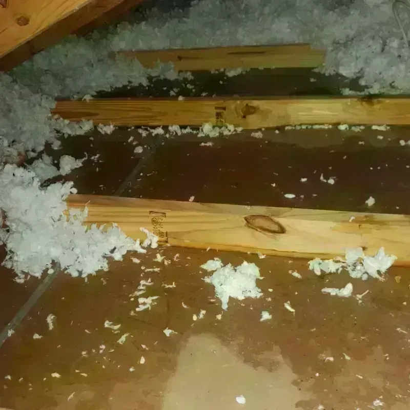 Attic Water Damage in Clinton, UT