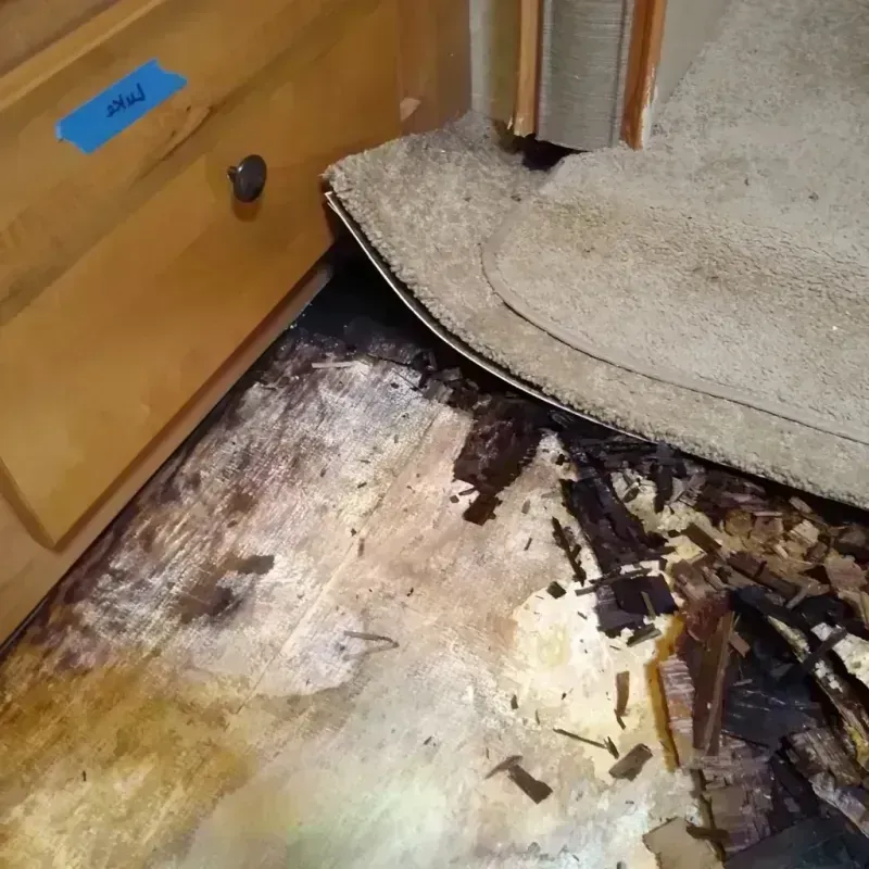 Wood Floor Water Damage in Clinton, UT